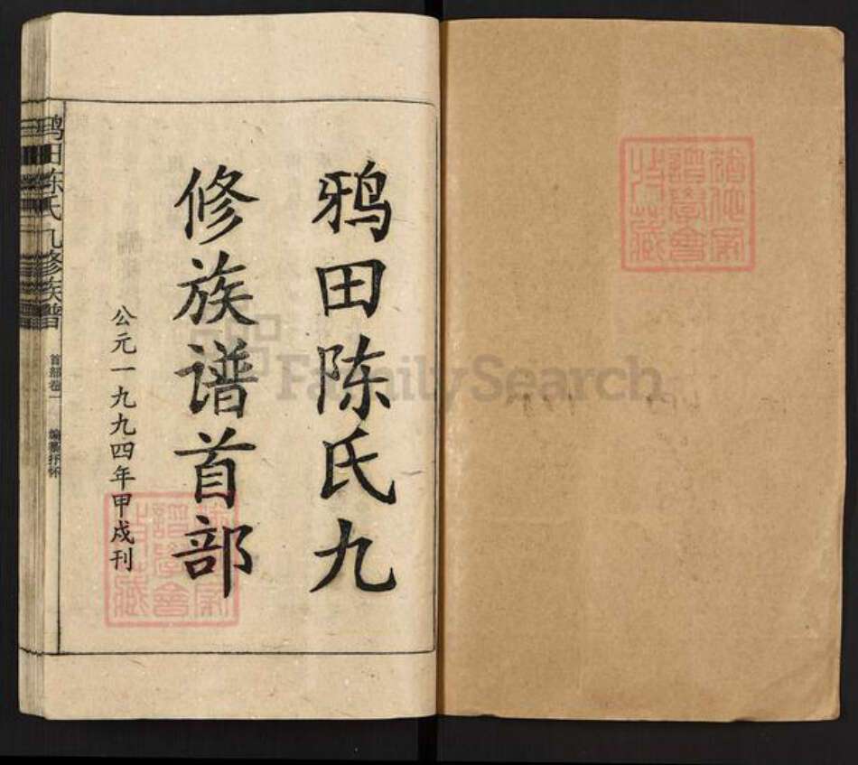 湖南省邵阳市隆回县鸭田镇陈氏族谱-鸦田陈氏九修族谱.pdf电子版预览图1