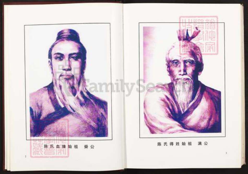 福建省福州市福清市江阴镇陈氏族谱-玉融玉屿泽水陈氏宗谱.pdf电子版预览图5