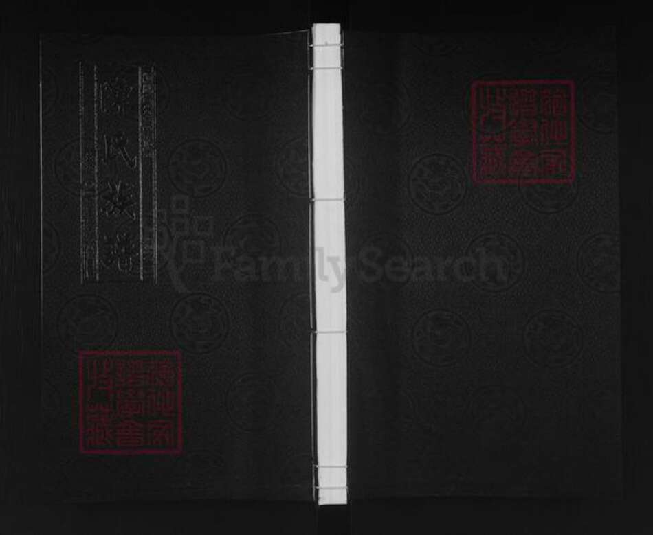 江苏省泰州市泰兴市高港陈氏敦伦堂族谱-陈氏族谱.pdf电子版缩略图