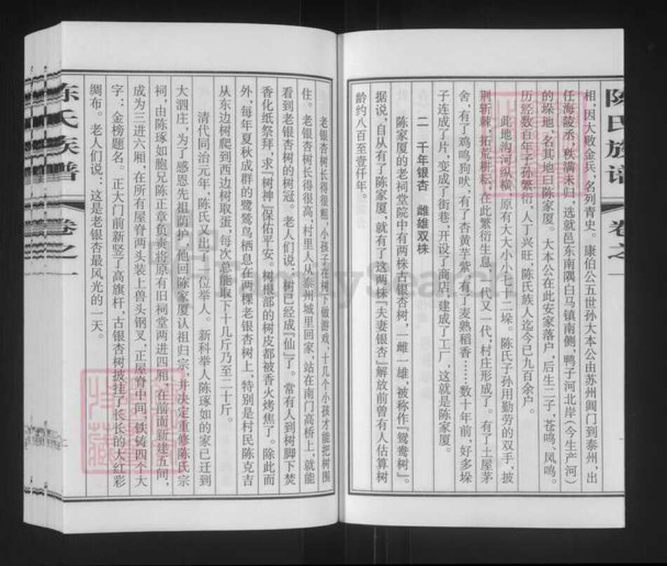 江苏省泰州市泰兴市高港陈氏敦伦堂族谱-陈氏族谱.pdf电子版预览图3