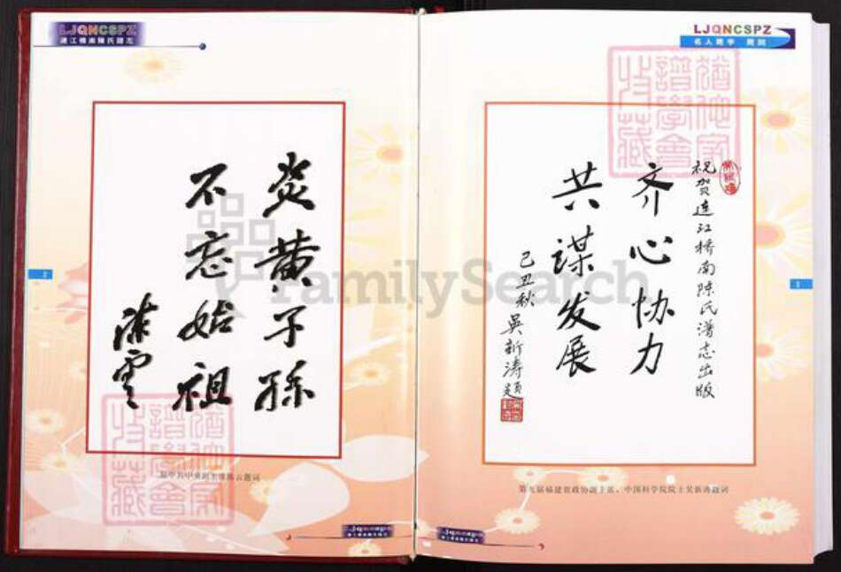 福建省福州市连江县筱埕镇陈氏桥南堂族谱-桥南陈氏谱志.pdf电子版预览图3