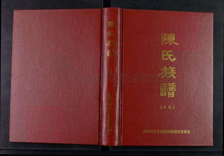山东省潍坊市临朐县冶源镇陈氏族谱-陈氏族谱.pdf电子版缩略图