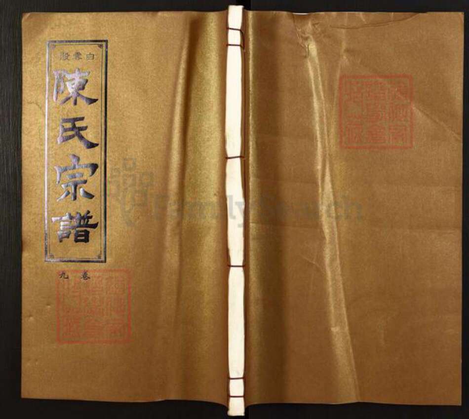 安徽省铜陵市枞阳县白梅乡陈氏星聚堂族谱-陈氏宗谱.白云股.pdf电子版缩略图