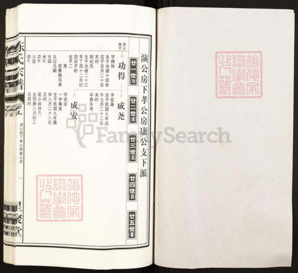 安徽省铜陵市枞阳县白梅乡陈氏星聚堂族谱-陈氏宗谱.白云股.pdf电子版预览图1