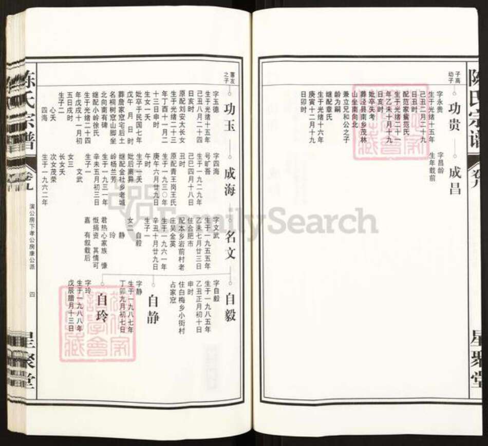 安徽省铜陵市枞阳县白梅乡陈氏星聚堂族谱-陈氏宗谱.白云股.pdf电子版预览图4