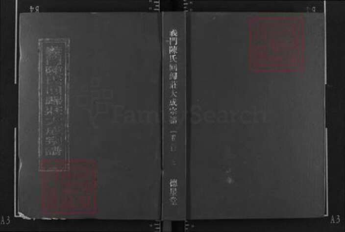 湖北省黄冈市浠水县陈氏德星堂族谱-义门陈氏回归庄大成宗谱.pdf电子版缩略图