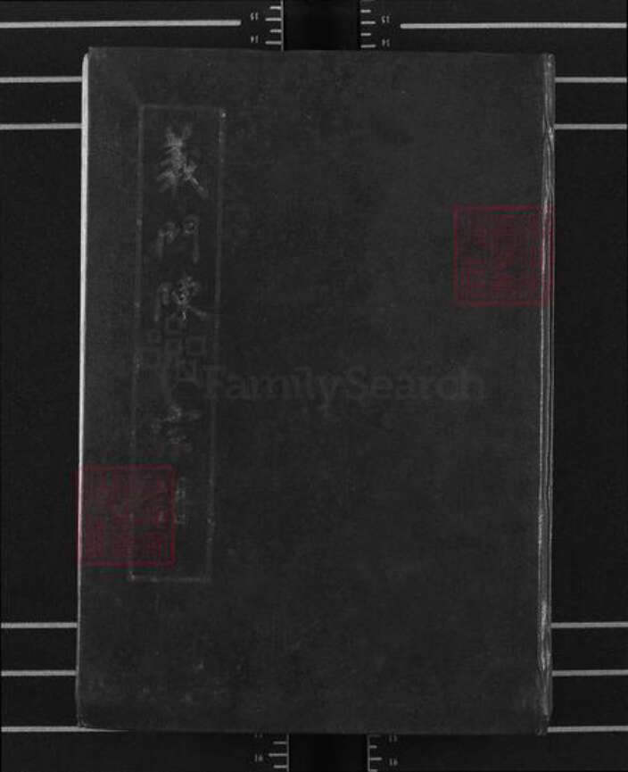 湖北省黄冈市浠水县巴河镇陈氏德星堂族谱-义门陈氏宗谱.pdf电子版缩略图