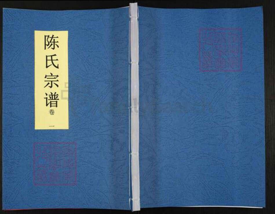 安徽省合肥市肥东县陈氏余德堂族谱-陈氏宗谱.pdf电子版缩略图