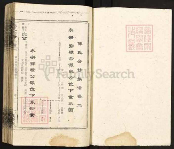 湖南省衡阳市衡南县鸡笼镇陈氏星聚堂族谱-陈氏合修族谱.pdf电子版预览图1