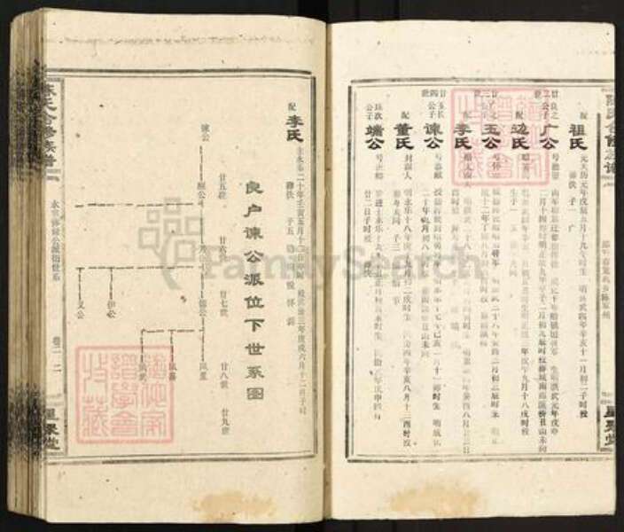 湖南省衡阳市衡南县鸡笼镇陈氏星聚堂族谱-陈氏合修族谱.pdf电子版预览图2