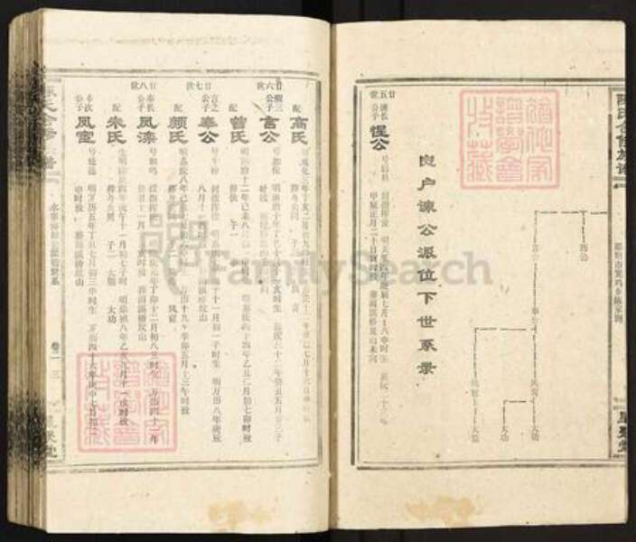 湖南省衡阳市衡南县鸡笼镇陈氏星聚堂族谱-陈氏合修族谱.pdf电子版预览图3