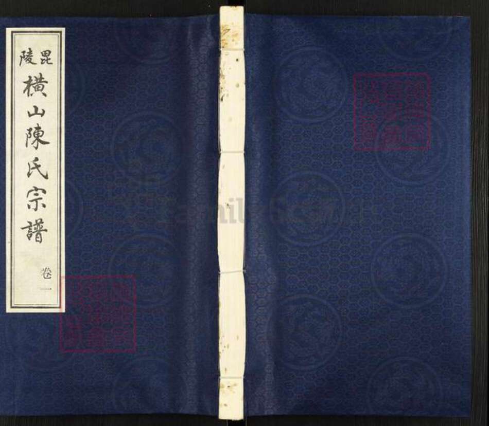 江苏省常州市武进县陈氏星聚堂族谱-毘陵横山陈氏宗谱.pdf电子版缩略图