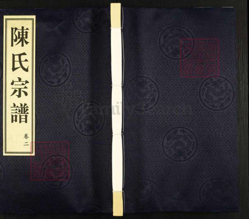 江苏省常州市武进县前黄镇陈氏忠节堂族谱-陈氏宗谱.pdf电子版缩略图