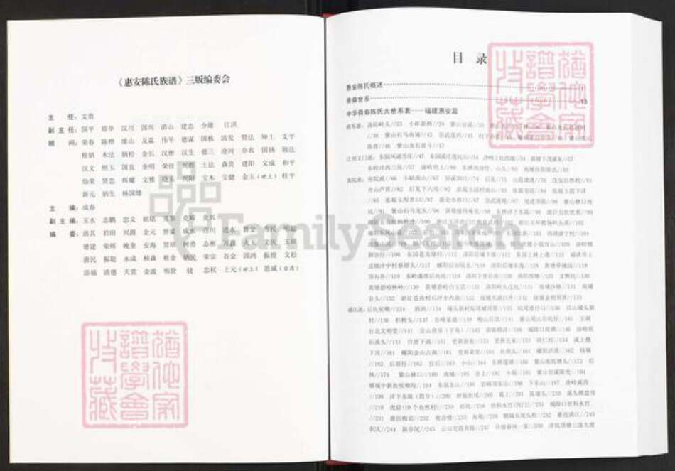 福建省泉州市惠安县陈氏德仁堂族谱-中华舜裔陈氏大世系表.惠安篇.pdf电子版预览图2