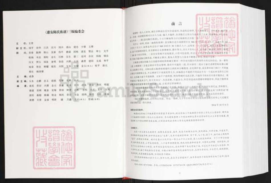 福建省泉州市惠安县洛阳镇陈氏族谱-惠安陈氏族谱.pdf电子版预览图2