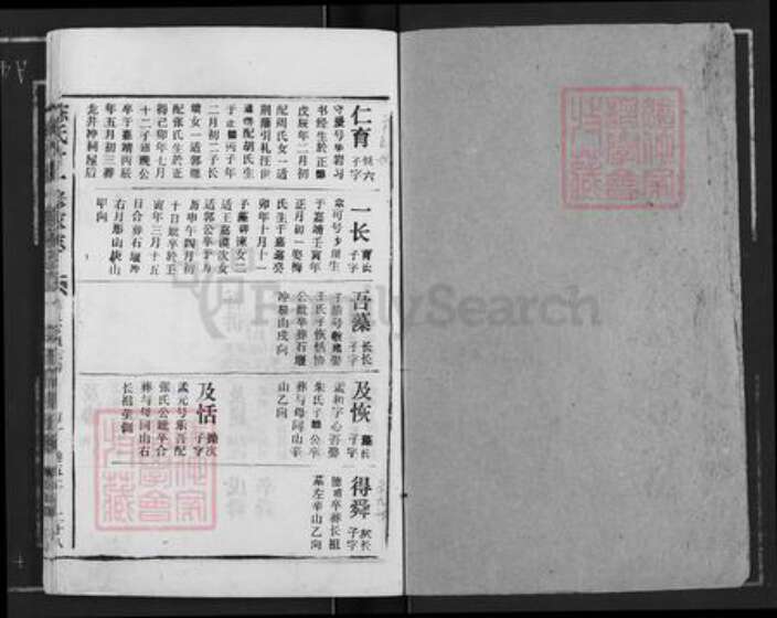 湖北省黄冈市蕲春县大同镇陈氏族谱-陈氏十一修家志.pdf电子版预览图1