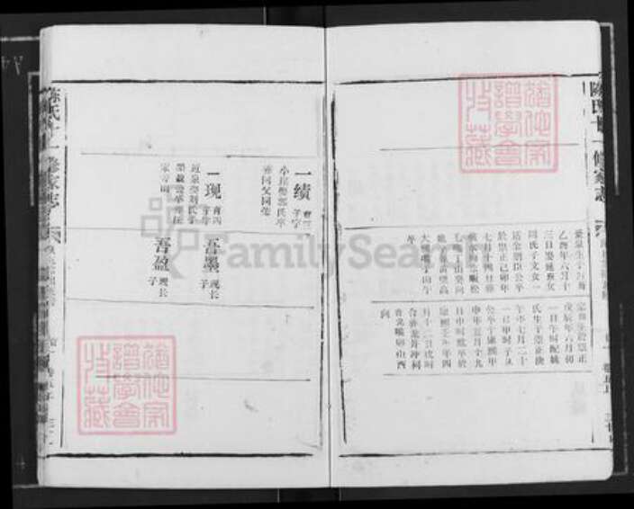 湖北省黄冈市蕲春县大同镇陈氏族谱-陈氏十一修家志.pdf电子版预览图4