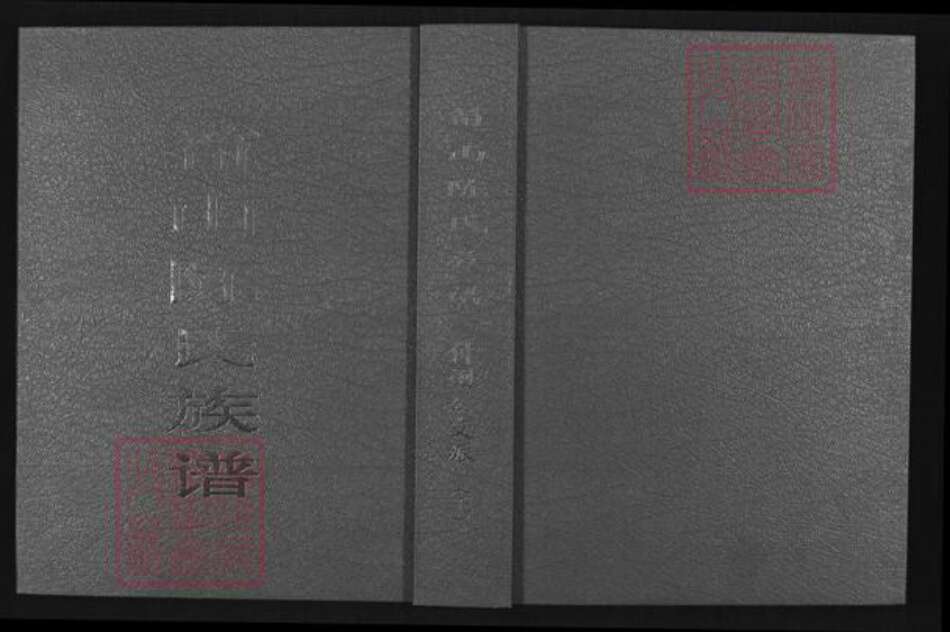 福建省泉州市安溪县龙门镇陈氏德星堂族谱-笋山陈氏族谱.仲逊公支派.pdf电子版缩略图