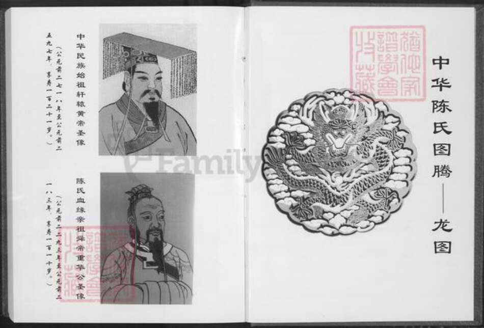 福建省泉州市安溪县龙门镇陈氏德星堂族谱-笋山陈氏族谱.仲逊公支派.pdf电子版预览图2