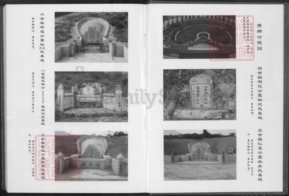 福建省泉州市安溪县龙门镇陈氏德星堂族谱-笋山陈氏族谱.仲逊公支派.pdf电子版预览图4