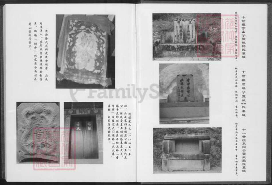 福建省泉州市安溪县龙门镇陈氏德星堂族谱-笋山陈氏族谱.仲逊公支派.pdf电子版预览图5