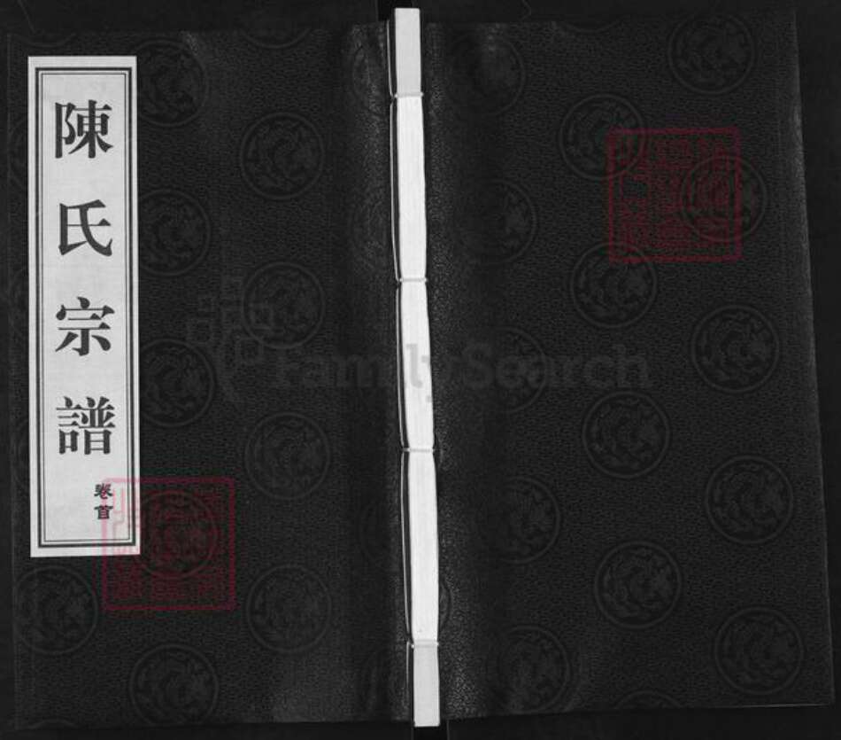 江苏省常州市武进县陈氏星聚堂族谱-陈氏宗谱.pdf电子版缩略图