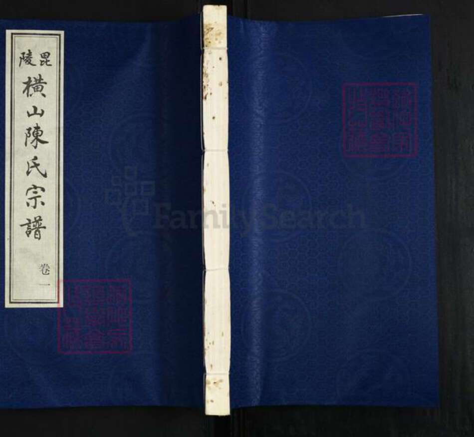 江苏省常州市武进县横林镇陈氏星聚堂族谱-毘陵横山陈氏宗谱.pdf电子版缩略图