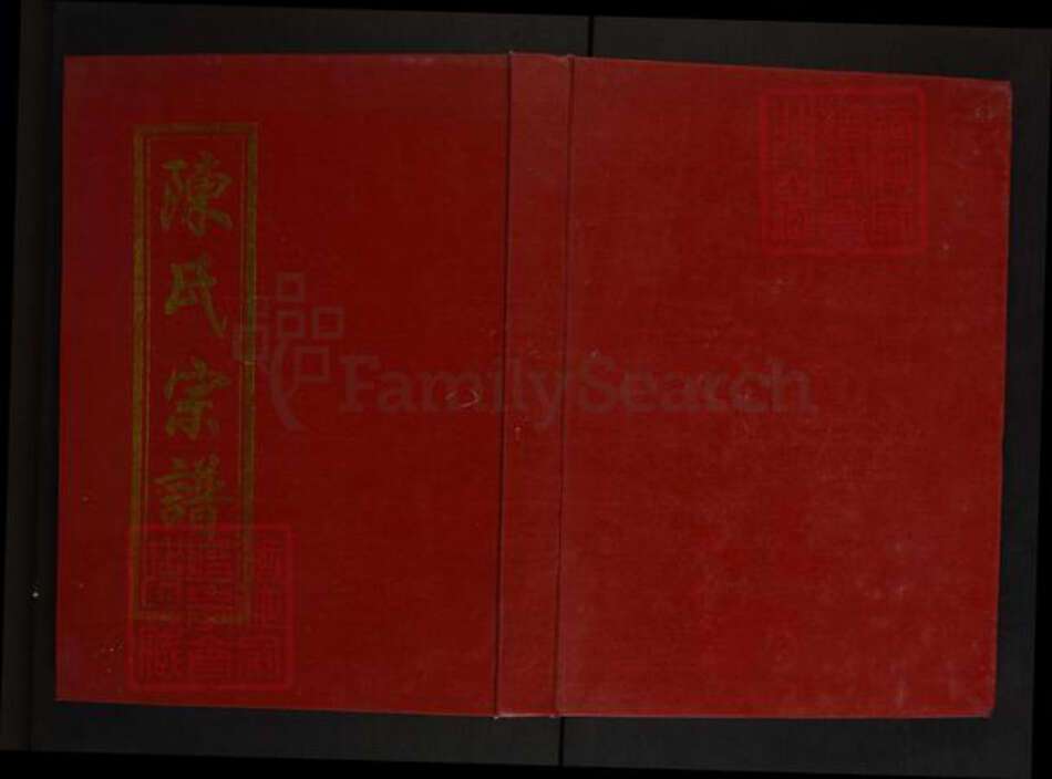 安徽省安庆市怀宁县石牌镇陈氏聚义堂族谱-陈氏宗谱.pdf电子版缩略图