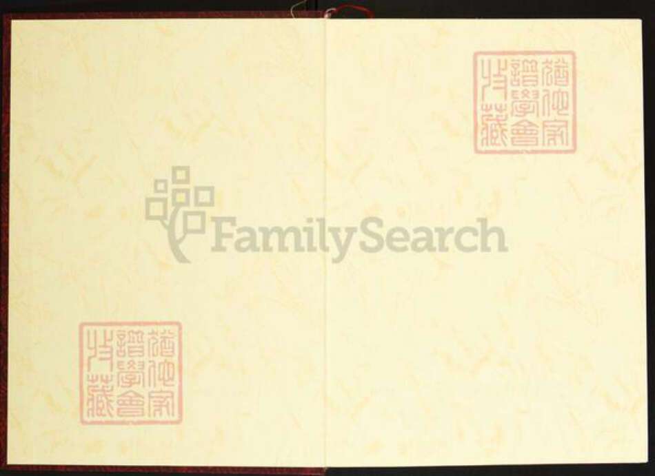 安徽省六安市霍山县陈氏义门堂族谱-中华义门陈氏大成谱.果石庄安徽霍山有立公支系族谱.pdf电子版预览图1