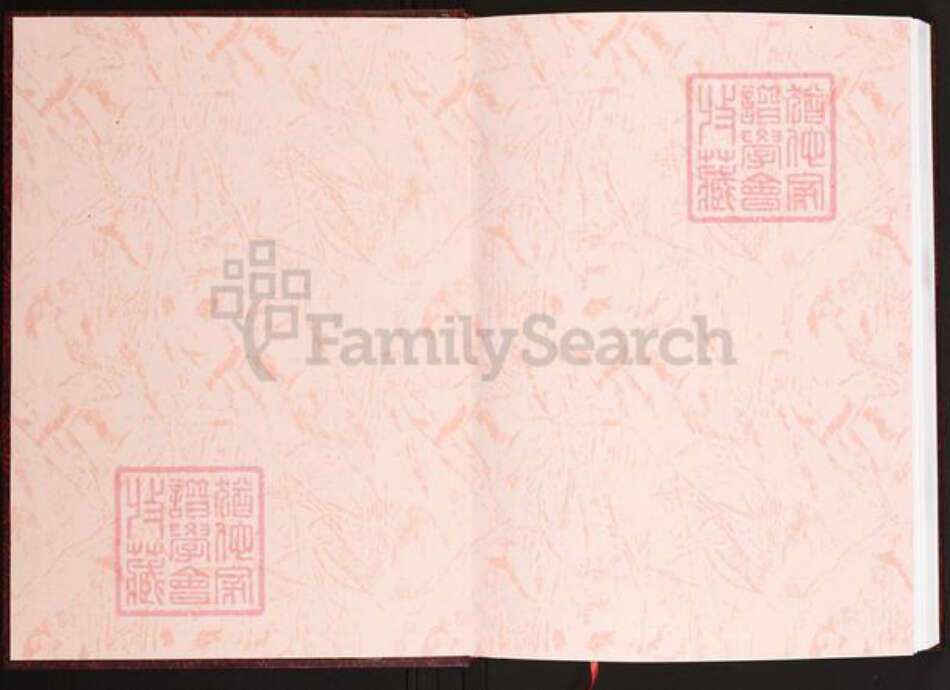 安徽省六安市陈氏义门堂族谱-中华义门陈氏大成谱.舒城庄安徽六安分庄三公支系谱.pdf电子版预览图1