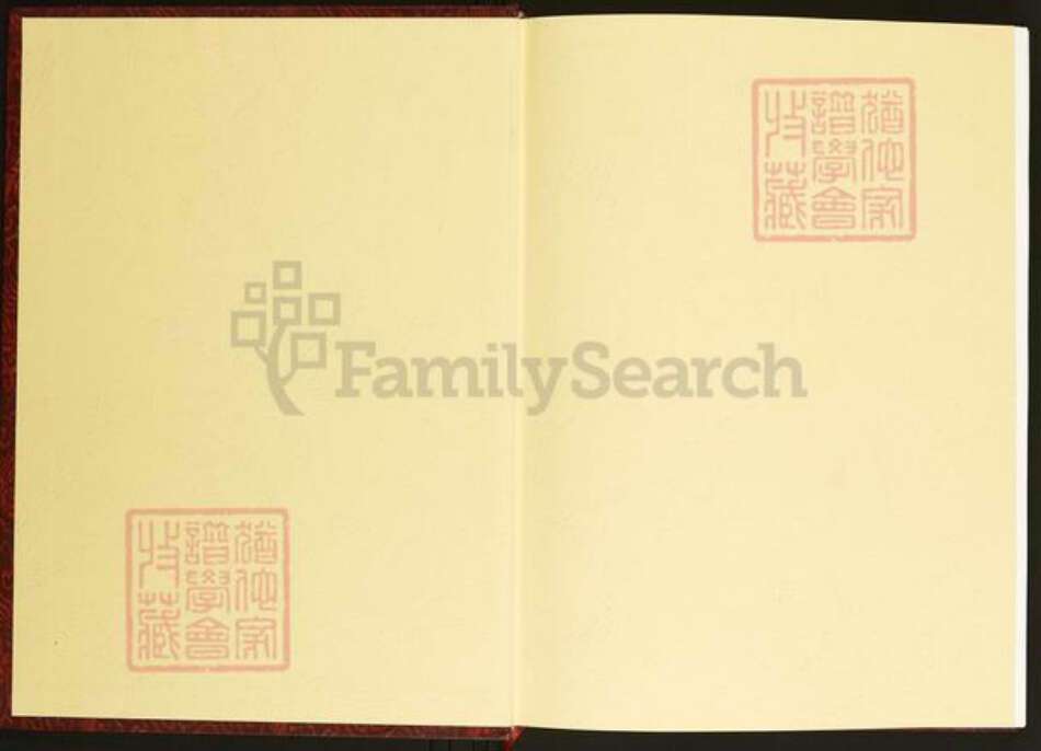 江西省赣州市于都县陈氏义门堂族谱-中华义门陈氏大成谱.汀州庄于都朝旺公支系谱.pdf电子版预览图1