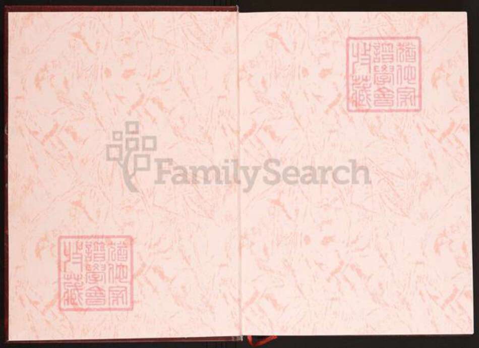 安徽省六安市金寨县陈氏义门堂族谱-中华义门陈氏大成谱.丰城庄安徽金寨竹庵陈氏族谱.pdf电子版预览图1