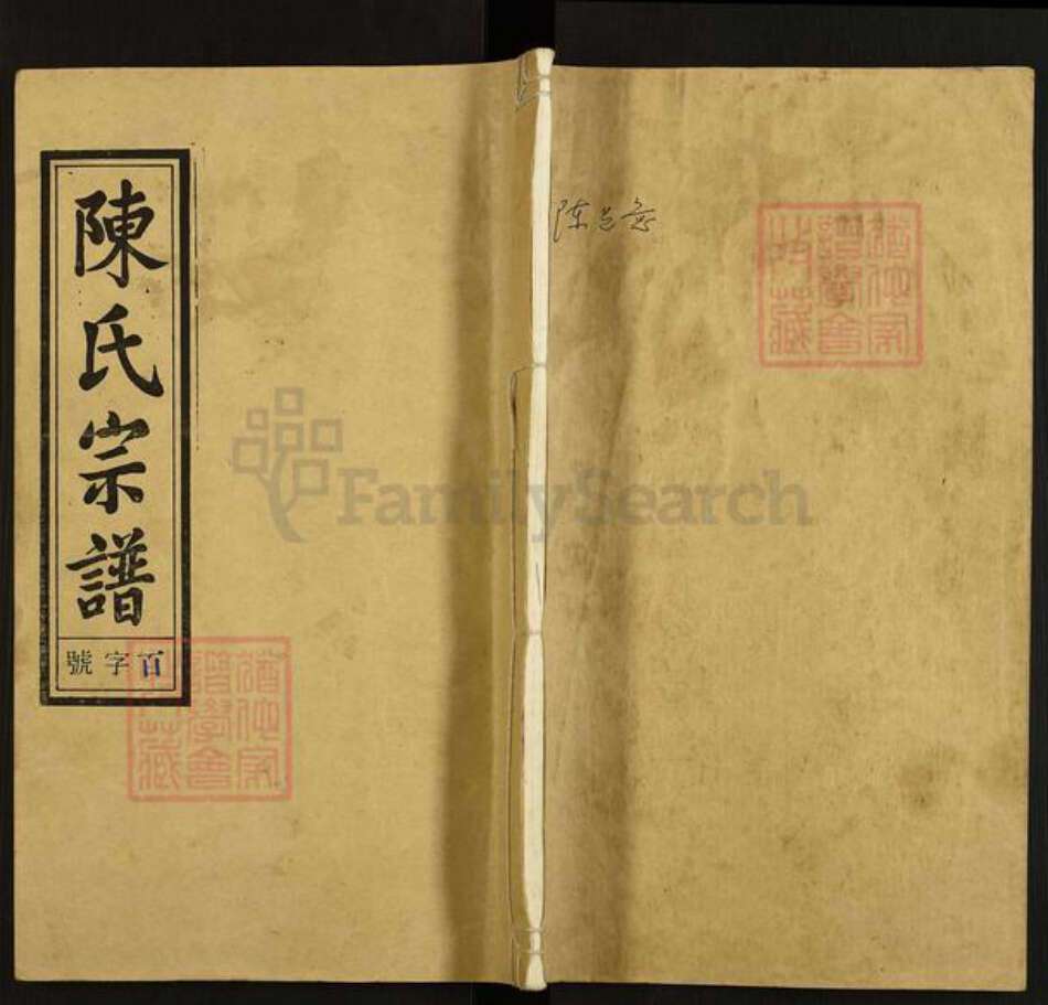 安徽省安庆市太湖县大石乡陈氏聚星堂族谱-陈氏宗谱.pdf电子版缩略图