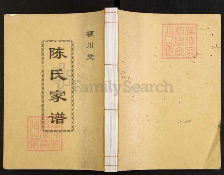 湖南省常德市桃源县陈氏颍川堂族谱-陈氏家谱.pdf电子版缩略图