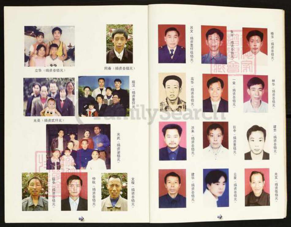 湖南省常德市桃源县陈氏颍川堂族谱-陈氏家谱.pdf电子版预览图4