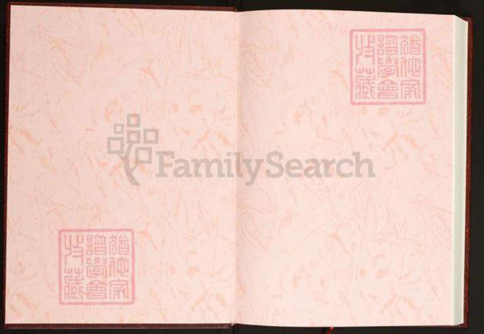 湖南省长沙市浏阳市沙市镇陈氏思成堂族谱-中华义门陈氏大成谱.汀洲庄湖南浏阳金刚思成堂陈氏族谱.(二房均明.四房均远)世系.pdf电子版预览图1