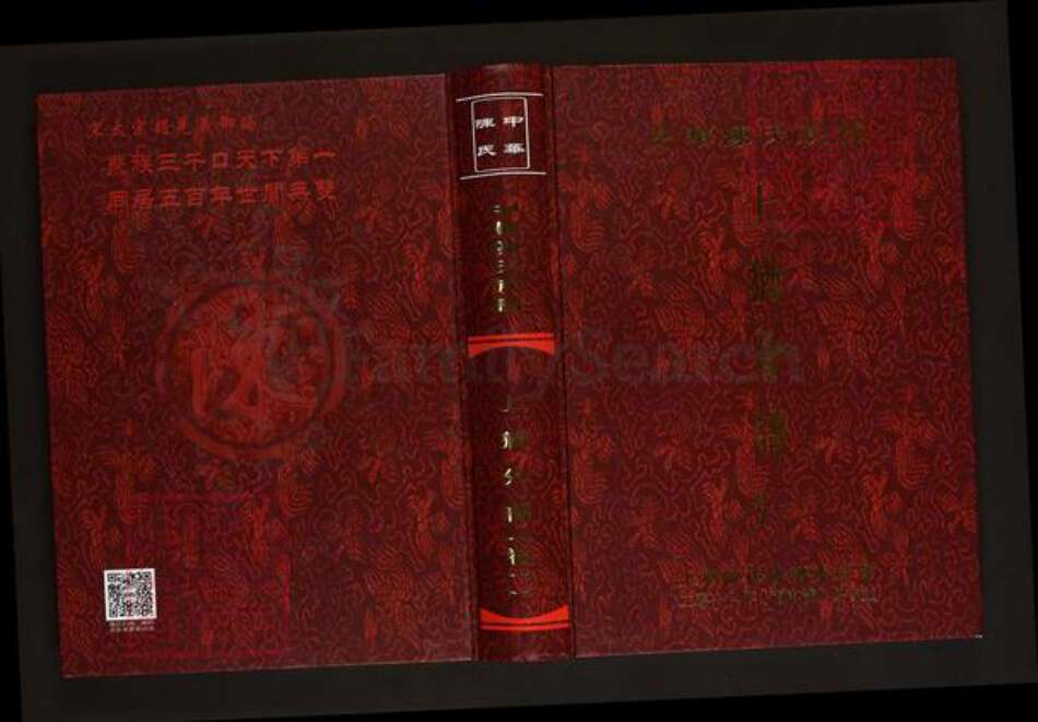 江西省赣州市上犹县陈氏义门堂族谱-中华陈氏族谱上犹分谱.pdf电子版缩略图