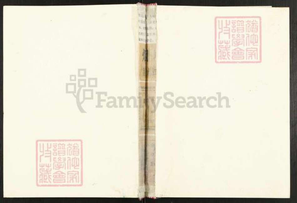 四川省遂宁市射洪市陈氏义门堂族谱-义门堂陈氏宗谱.pdf电子版缩略图