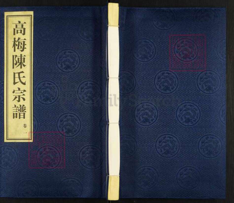 江苏省常州市武进县前黄镇陈氏追远堂族谱-高梅陈氏宗谱.pdf电子版缩略图