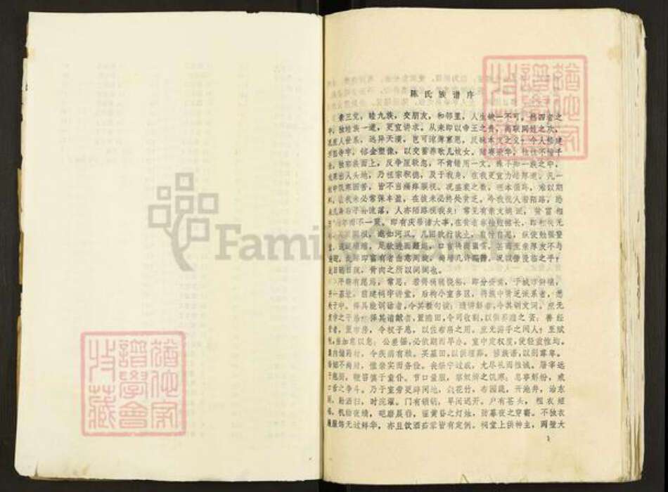 江苏省宿迁市泗阳县众兴镇陈氏泗淮堂族谱-陈氏族谱.pdf电子版预览图4