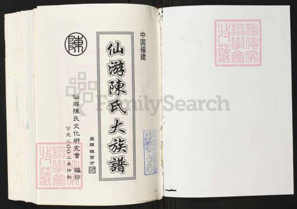 福建省莆田市仙游县陈氏族谱-仙游陈氏大族谱.pdf电子版预览图1