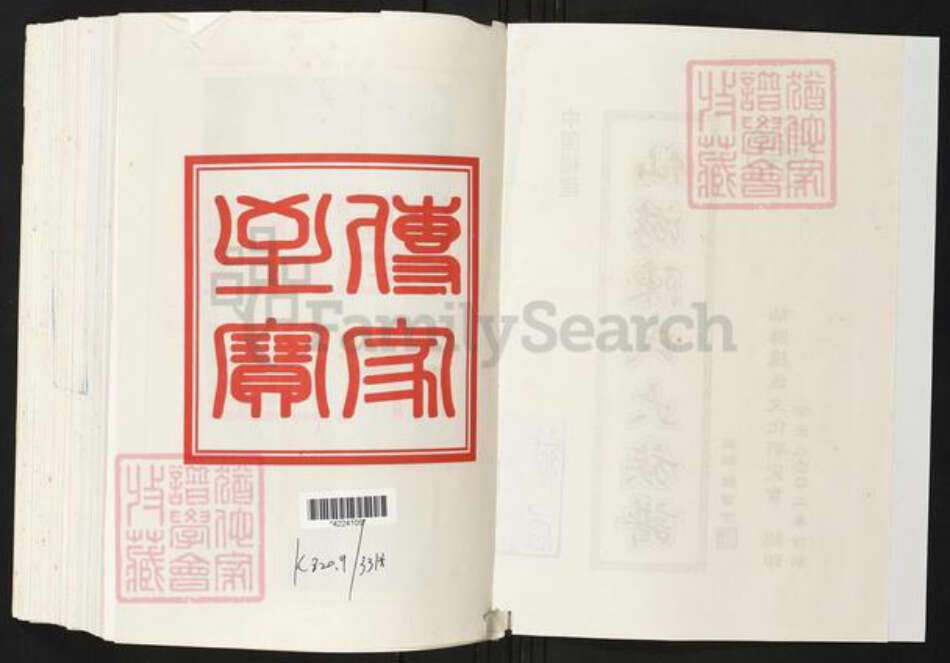 福建省莆田市仙游县陈氏族谱-仙游陈氏大族谱.pdf电子版预览图2