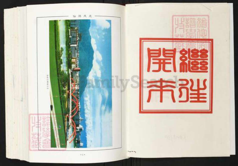 福建省莆田市仙游县陈氏族谱-仙游陈氏大族谱.pdf电子版预览图3