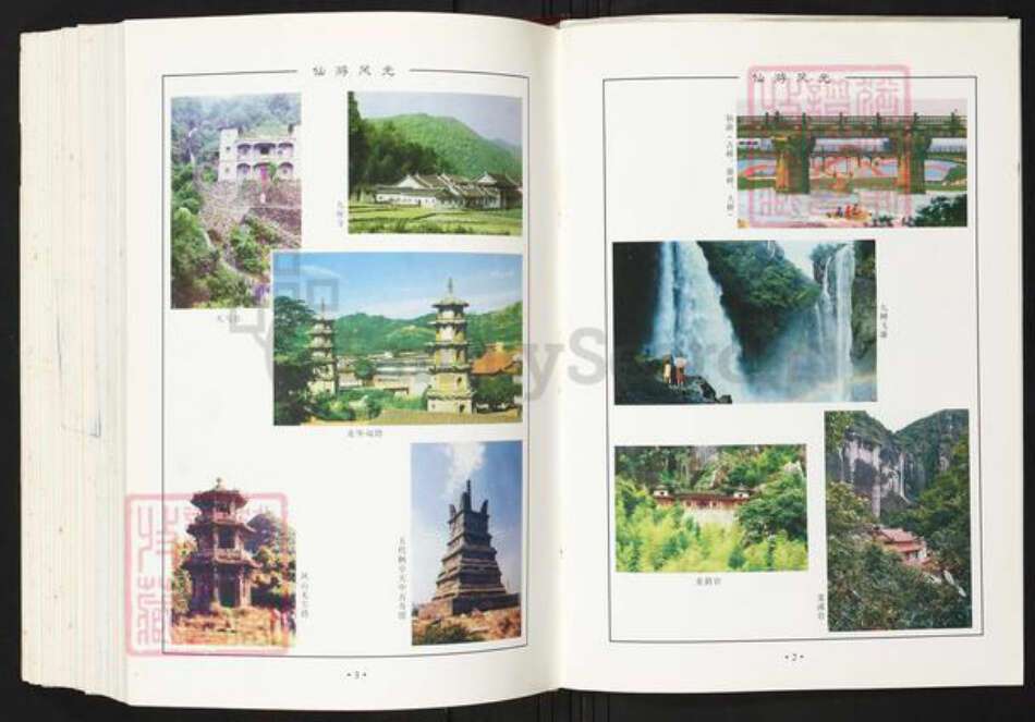 福建省莆田市仙游县陈氏族谱-仙游陈氏大族谱.pdf电子版预览图4