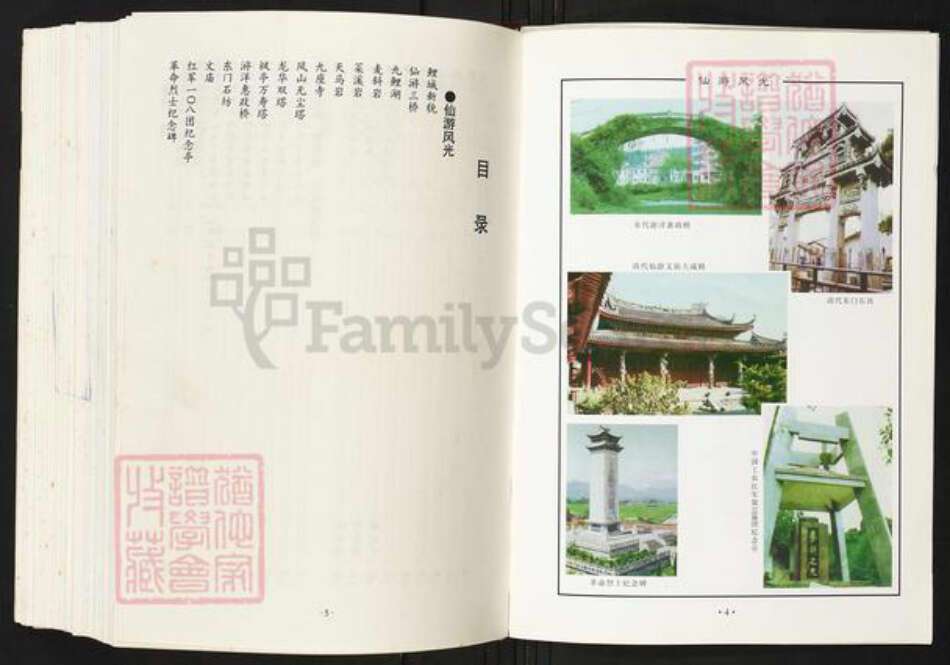 福建省莆田市仙游县陈氏族谱-仙游陈氏大族谱.pdf电子版预览图5