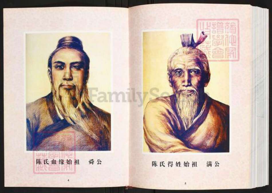 福建省莆田市荔城区陈氏族谱-莆阳玉湖陈氏家乘.pdf电子版预览图2