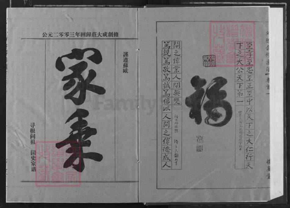 湖北省黄冈市团风县陈氏德星堂族谱-义门陈氏回归庄大成宗谱.pdf电子版预览图2