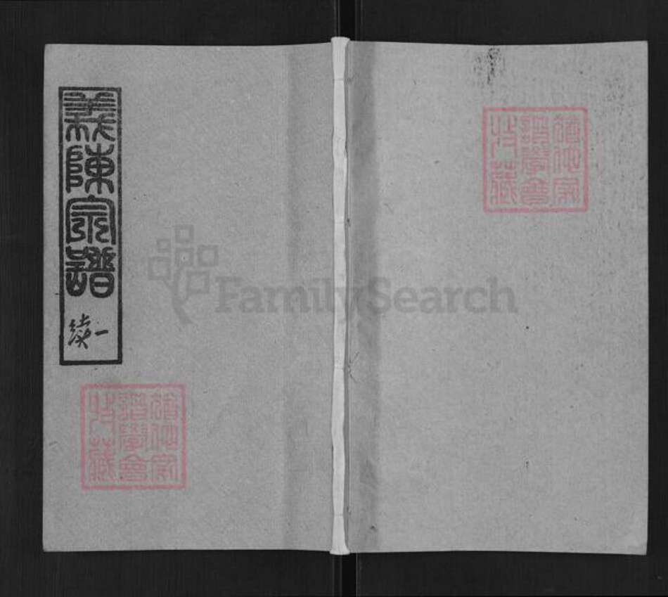 湖北省黄冈市黄州区陈氏旌义堂族谱-陈氏宗谱.pdf电子版缩略图