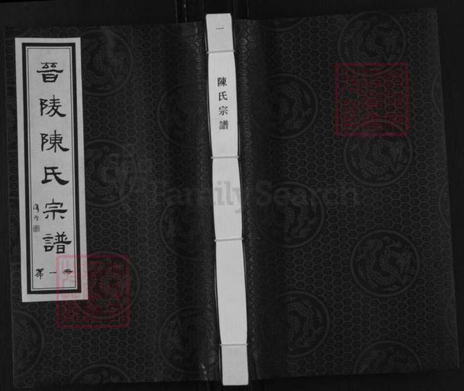 江苏省常州市武进县陈氏星聚堂族谱-晋陵陈氏宗谱.pdf电子版缩略图