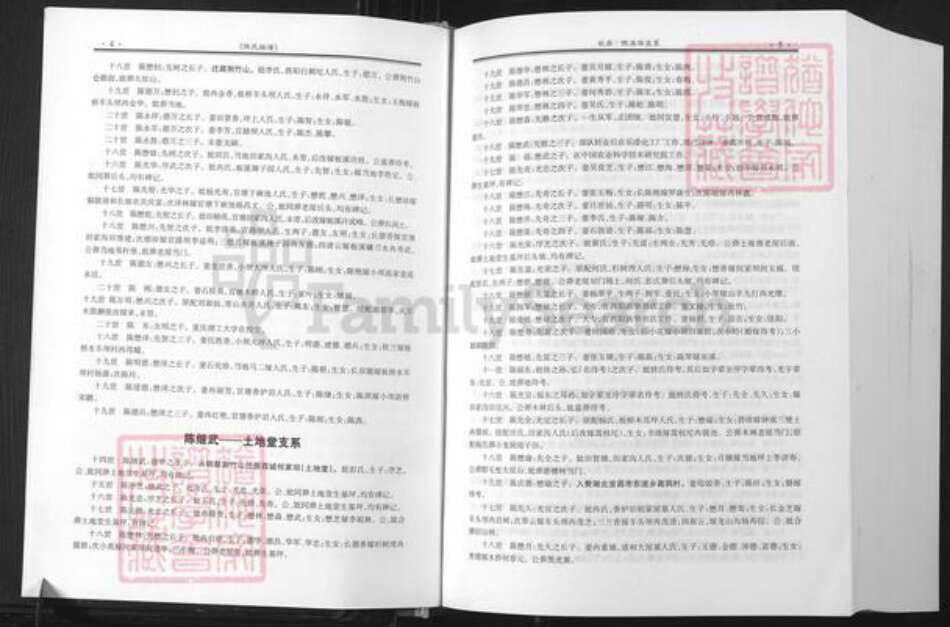 重庆市荣昌区铜鼓镇陈氏族谱-陈氏族谱.义门陈氏酉阳忠公世系.pdf电子版预览图5